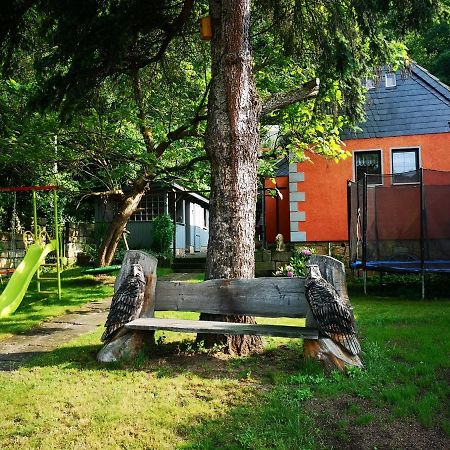 Вілла Ferienhaus Franz - An Der Elbe, Mit Grossem Garten Пірна Екстер'єр фото