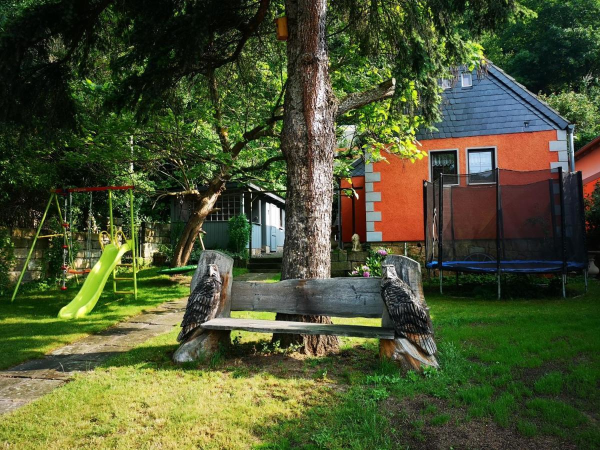 Вілла Ferienhaus Franz - An Der Elbe, Mit Grossem Garten Пірна Екстер'єр фото