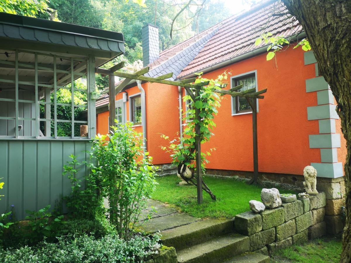 Ferienhaus Franz - An Der Elbe, Mit Grossem Garten Пірна Екстер'єр фото