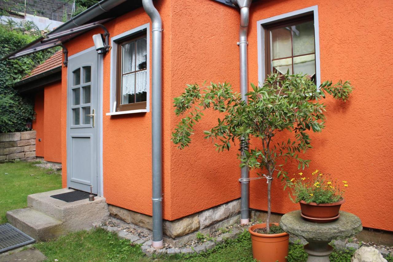 Ferienhaus Franz - An Der Elbe, Mit Grossem Garten Пірна Екстер'єр фото